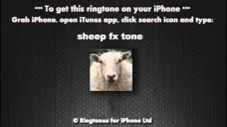Sheep Baa Sound Fx Tone