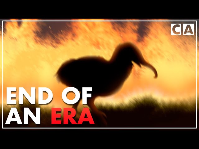 The Epic of Serina | Part 5 class=