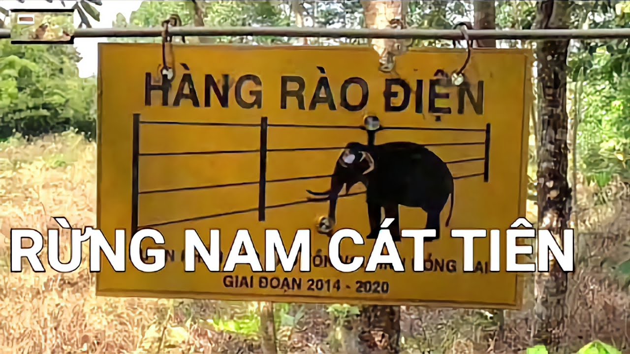 Ớn Lạnh Hàng Rào Điện Rừng Nam Cát Tiên;@Travel Đình Hiệp 342;