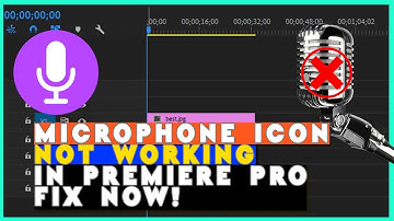 Premiere pro microphone icon turns into grey fixed
