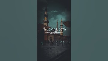 تلاوة خاشعة للشيخ عبدالرحمن مسعد | سورة يس كاملة
