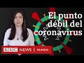 El punto débil del coronavirus que encontró una física mexicana y cómo puede servir para bloquearlo