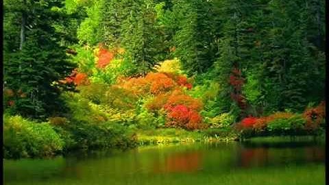 تلاوة خاشعة للشيخ عبد الباسط عبد الصمد من آخر القمر وبداية  الرحمن