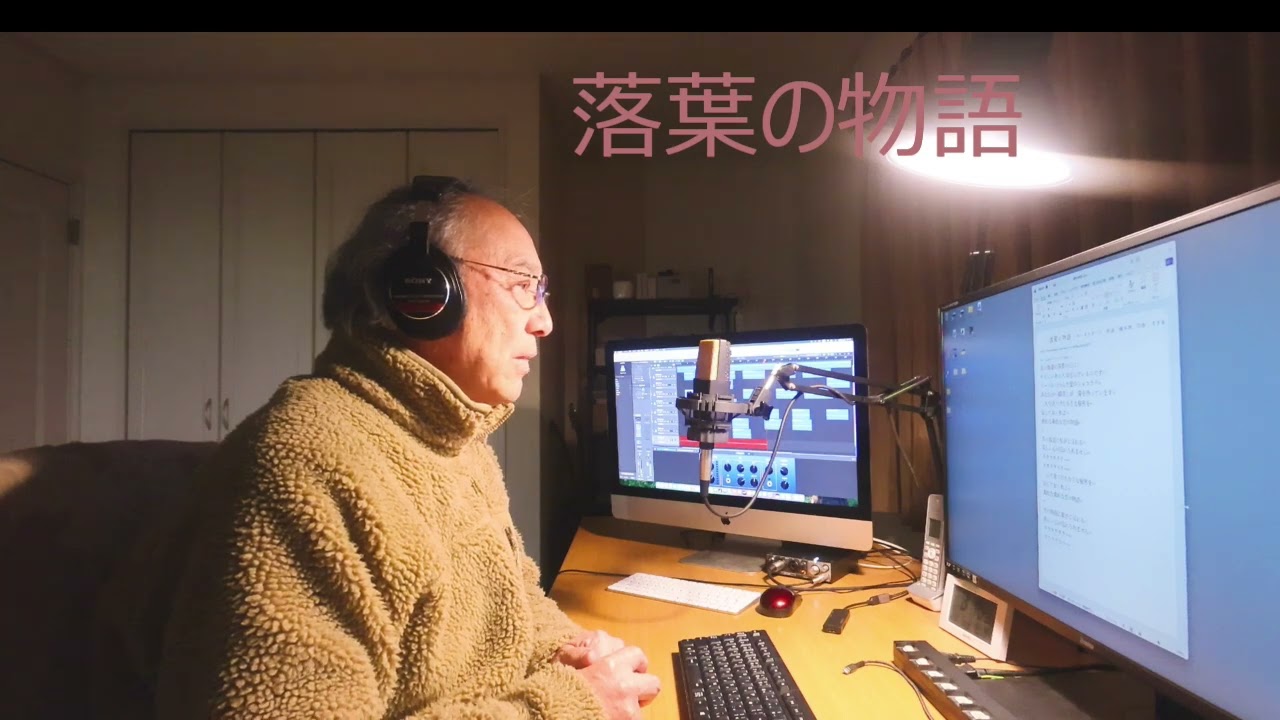 落葉の物語 - cover