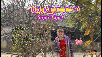 #CINDYOTDB | Tập 10 | SAPA ngày 4 | Tắm lá thuốc của người Dao đỏ | Cindy | Cindy ở Tây Đông Bắc
