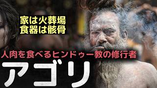 「人間も肉にすぎない」 極端な方法で解脱を追求するヒンドゥー教の修行者、アゴリ