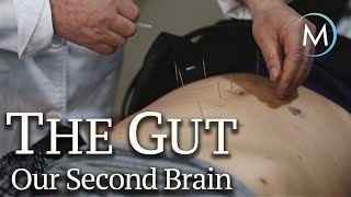 The Gut: Our Second Brain | TRAILER [HD] | MagellanTV