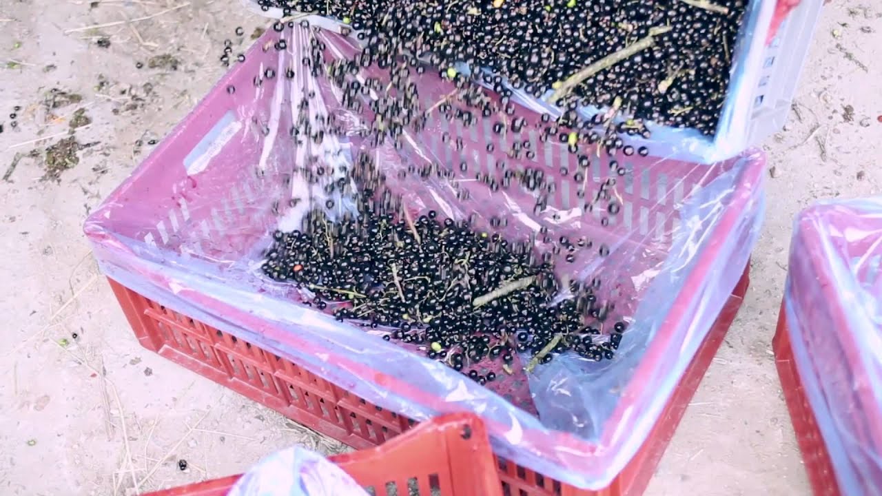 Giffard Presentation Film