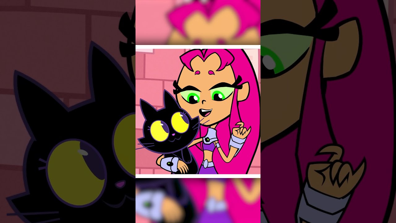 Black Cat Appreciation Day Teen Titans Go KidsCartoons Dckids