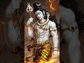 की लागी रे लगन भगवान से हर हर महादेव#viralvideo#viralshort#harharmahadev#8000subscribers@YouTube