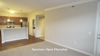 One Bedroom Apartments Near Polaris - Grand at Polaris Best Place To Live Inear Polaris Parkway Columbus Ohio