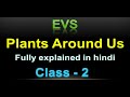 Plants around us class 2