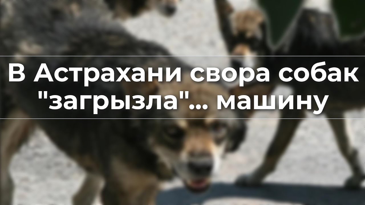 Арендовать машину в астрахани