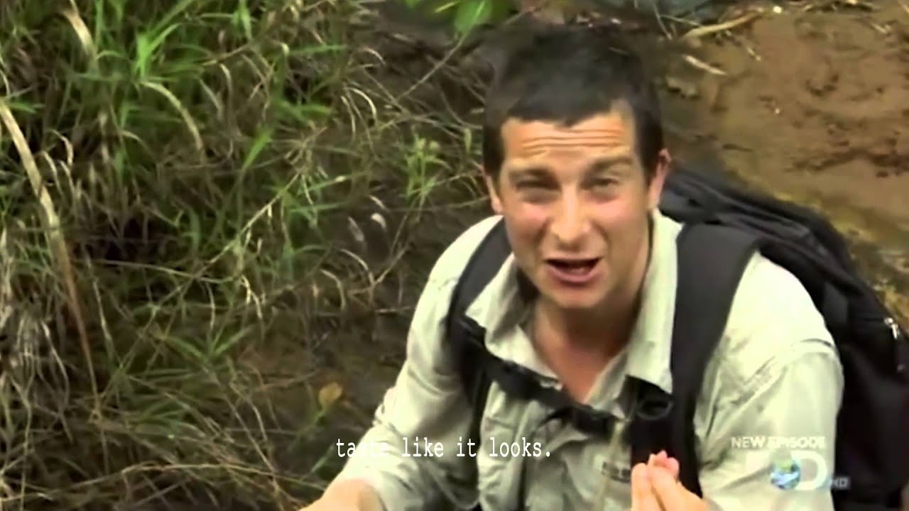 The Amazing Bear Grylls - survivalist