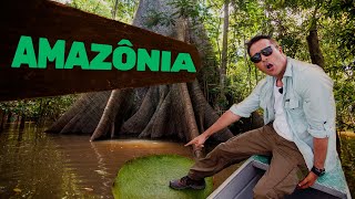 Amazônia | Biomas do Brasil | Ep.11