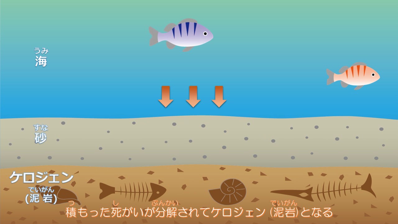 1 石油ができるまで Youtube