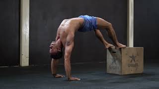 Thoracic Bridge - Feet Elevated + Floor Taps - Height Performance Exercise Demo