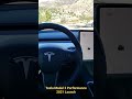 Tesla Model 3 Performance 2021 Launch 0-60