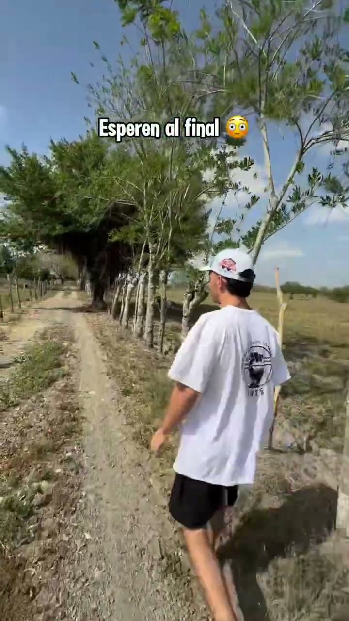 Que pedazo de Iguana ?
