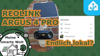 Reolink Argus 4 Pro & Home Hub im Langzeittest