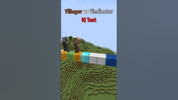 Villager vs Vindicator! ULTIMATE IQ TEST!