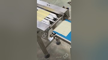 Spring Roll Wrapper Making Machine/Crepe Machine Automatic