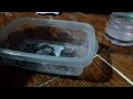 How to make slime.