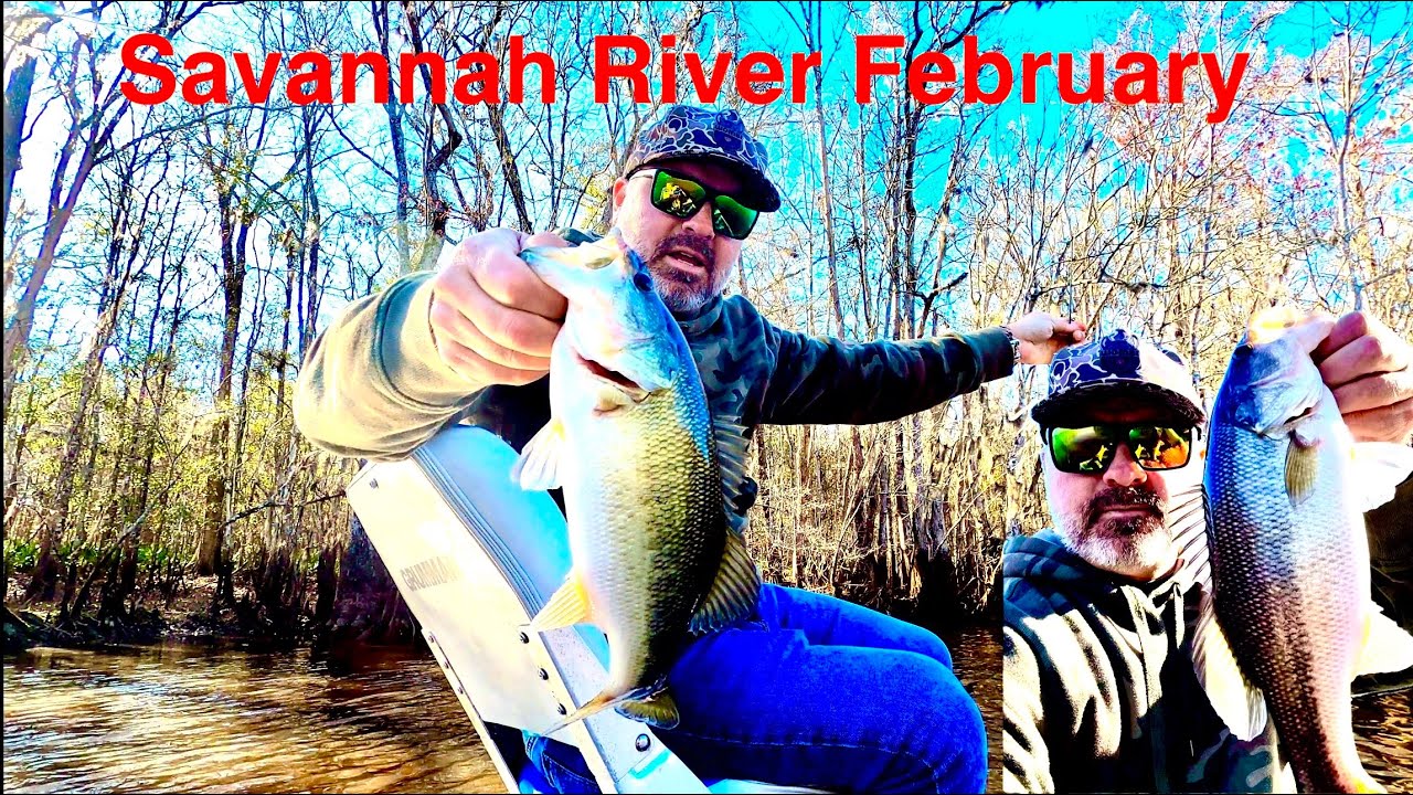 Bass fishing the Savannah River in February