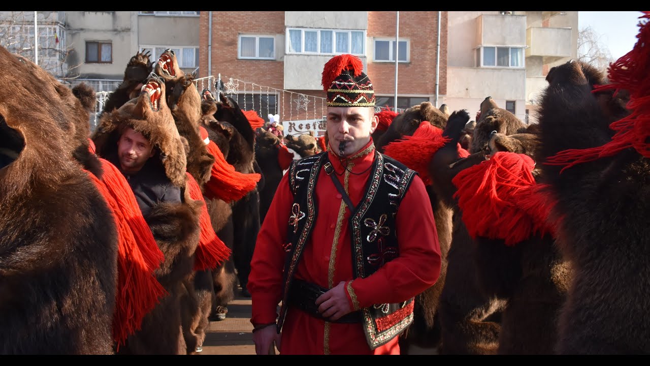 Ceata urșilor din Zăvoi (Comănești) 30.12.2021