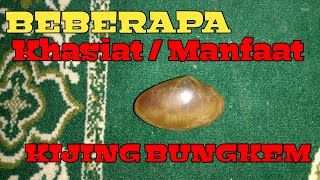 MANFAAT KIJING BUNGKEM