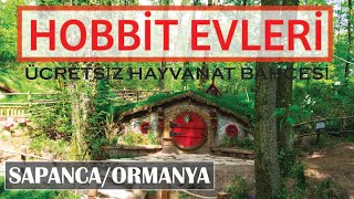 sapanca da hobbit evleri ormanya ucretsiz hayvanat bahcesi youtube