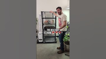 The New BoomRoom II | Grow Mushrooms in a Martha Tent