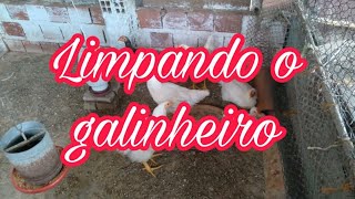 Limpando O Galinheiro Na Casa Da Minha Mae