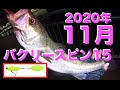 11月上旬シーバス釣行記。ブレイクで食ってきた魚編。Tokyo fishing.