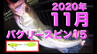 11月上旬シーバス釣行記。ブレイクで食ってきた魚編。Tokyo fishing.