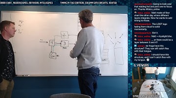 Timing in the cortical column SMI circuits, whiteboard chat, neuroscience, artificial intelligence