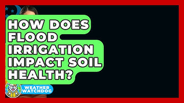 How Does Flood Irrigation Impact Soil Health? - Weather Watchdog
