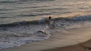What it looks like at The Beach Santa Cruz California #djicowboy #fpvfreestyle #beach #boardwalk by wherebsara 13 views 2 days ago 3 minutes, 59 seconds