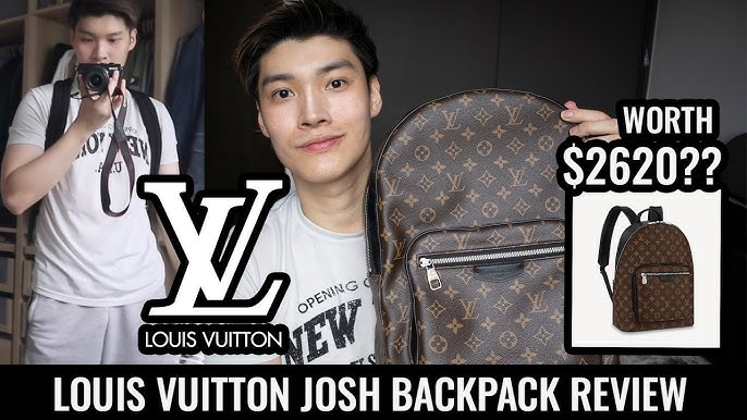 Louis Vuitton Josh Backpack Organizer Insert, Backpack Organizer with -  Zepmade