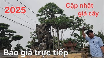 Cập nhật giá cả thị trường cây cảnh 2025 mới nhất nhanh nhất !...