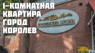 Обзор однокомнатной квартиры, клубный комплекс Королёвские Сосны