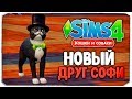 НОВЫЙ ДРУГ СОФИ -  The Sims 4 - "Кошки и Собаки" ▮