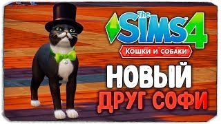 НОВЫЙ ДРУГ СОФИ -  The Sims 4 - 