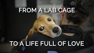 Watch Mabel Go From Life In A Cage To A Life Full Of Love