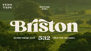 Briston Serif Font Free Download screenshot 3