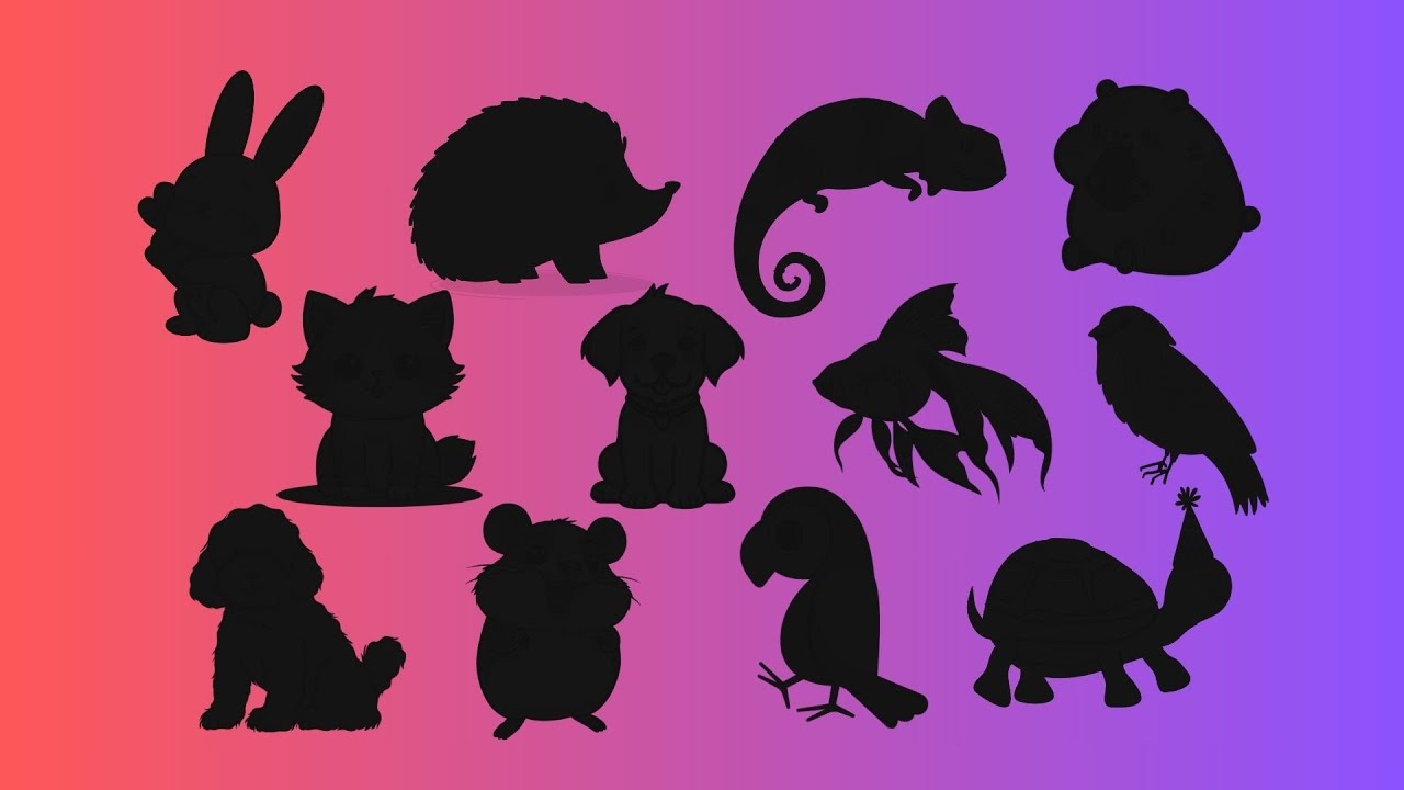 Guess the Pet Shadow Quiz | Fun Animal Game for Kids | Can You Name These Cute Pets?