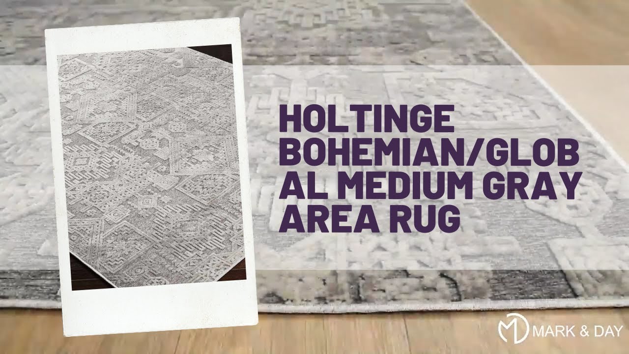Holtinge Bohemian/Global Medium Gray Area Rug