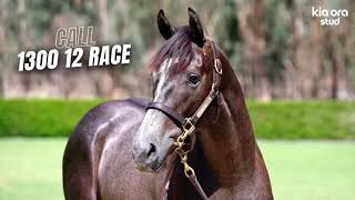TASSORT x SUGGESTIONS - STUNNING GREY COLT