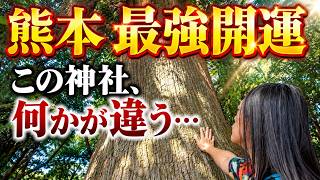 [Kumamoto Aso Shrine] Finally made it! A mystical place that purifies the soul