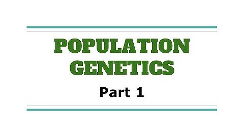 Population Genetics Part 1 | Teacher Hazel